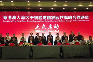 廣州海繹會議服務 專業會展服務的卓越之選